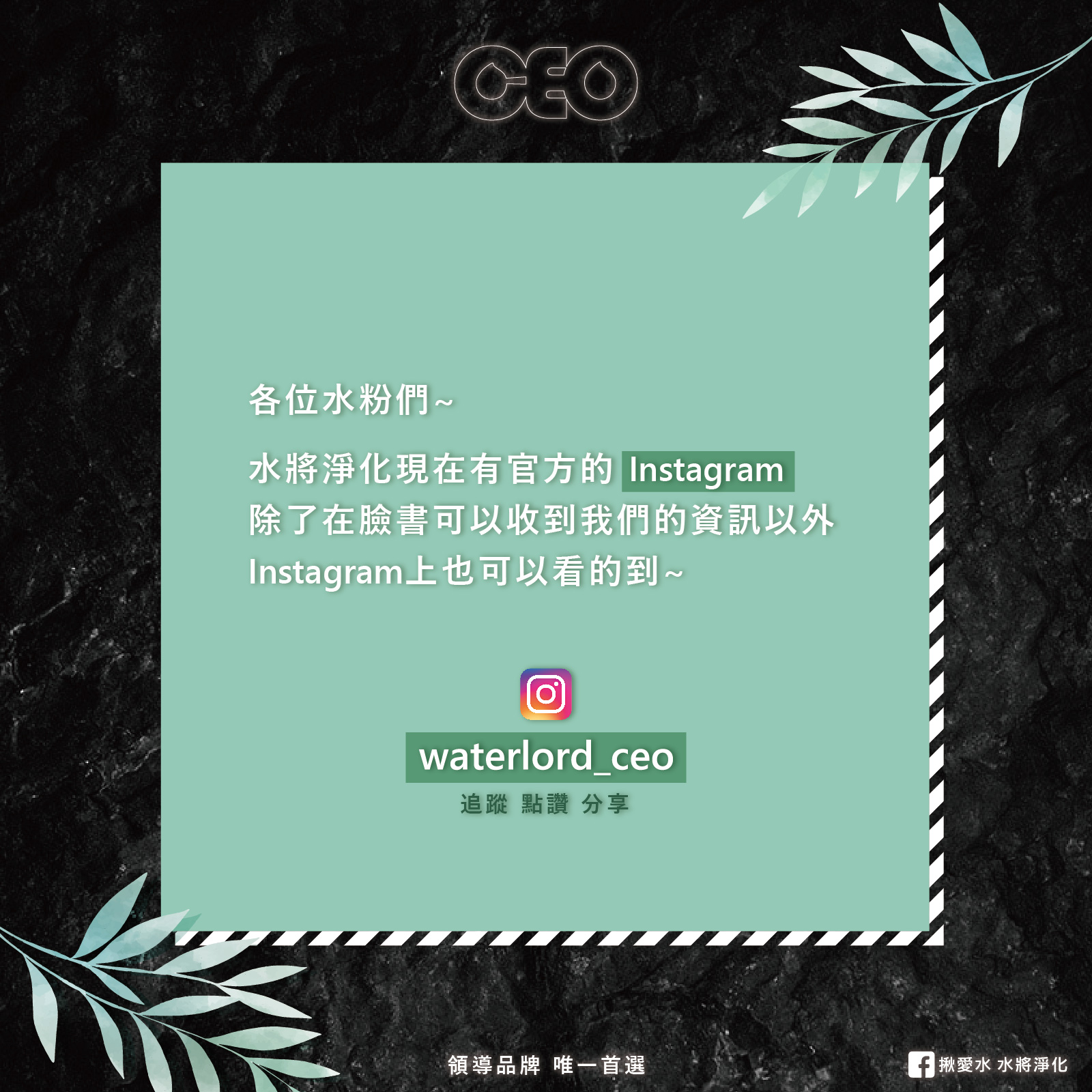 إيغ-01(1)